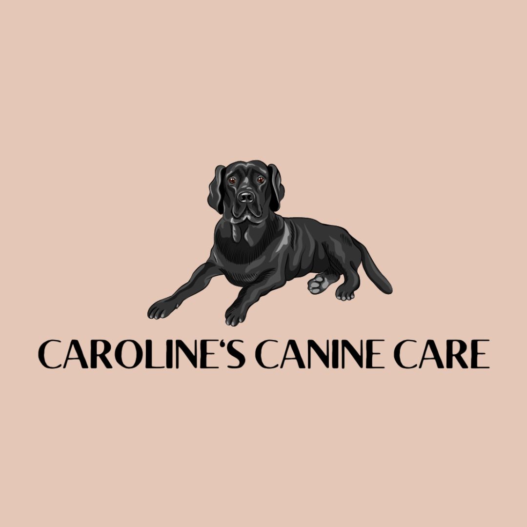 Caroline Canine Care