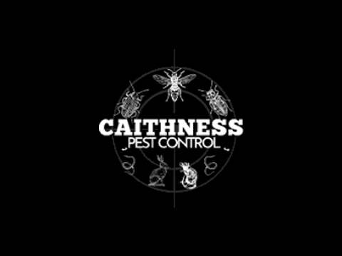 Caithness Pest Control