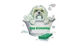 Jazz Up Your Paws