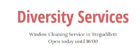 Diversity Services