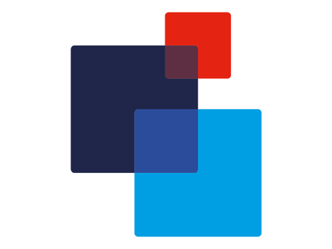 Sash Windows Expert Limited