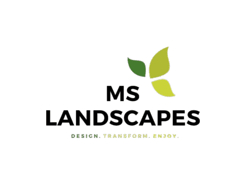 MS Landscapes