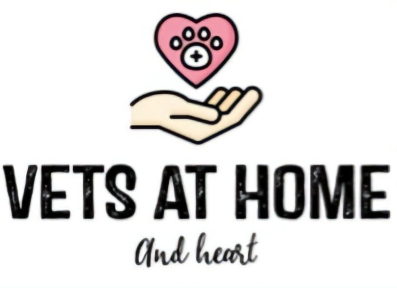 Vets at Home and Heart